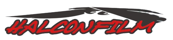 Logo de Halconfilm con un halcón estilizado